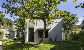 Gia chủ Nghệ An xây nhà hình chữ Y vì vướng cây