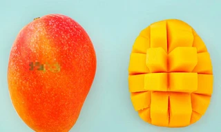 Xoài đỏ Nhật Bản về Việt Nam giá 1,2 triệu mỗi quả