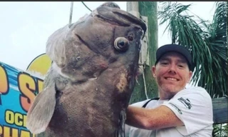 Câu được "siêu cá" to khủng khiếp ngoài khơi nước Mỹ