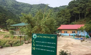 Toàn cảnh khu sinh thái 'xẻ thịt' đất rừng Sóc Sơn sau lệnh cưỡng chế