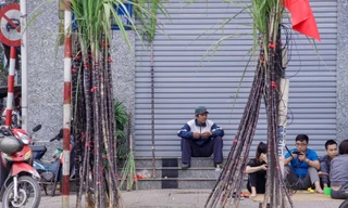 Mía lộc xuống phố trong chiều 30 Tết