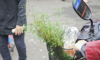 Rửa sạch điều xấu năm cũ bằng mùi già chiều 30 Tết