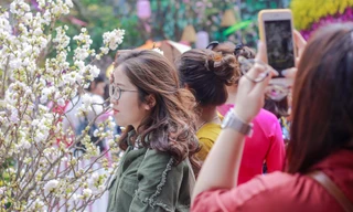 Người dân Thủ đô 'chen chúc' chụp ảnh cùng với hoa anh đào