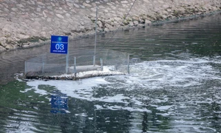 'Bảo bối' của Nhật làm sạch nước sông Tô Lịch được bảo vệ thế nào?