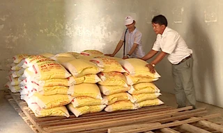 Bị cô lập suốt 2 tuần, người dân đảo Bé được cứu đói khẩn cấp