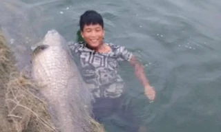 Ngư dân hồ Thác Bà bắt được cá trắm đen “khủng” 42kg
