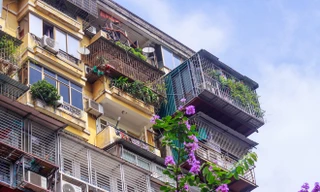 'Chuồng cọp' bao phủ khu chung cư đắc địa Thủ đô