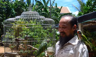 Người biết nói chuyện với các loài chim