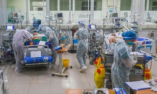 Điều trị bệnh nhân nặng tại BV Bệnh Nhiệt đới T.Ư. Ảnh: Thái Hà 