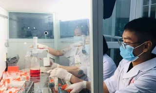 Tối 23/8, Nghệ An ghi nhận 28 ca dương tính với SARS-CoV-2