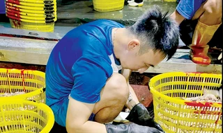 Cả nghìn cầu thủ sẽ lâm vào cảnh thất nghiệp, ảnh hưởng lớn tới cuộc sống cũng như hệ thống thi đấu vì quyết định vội vàng của VFF