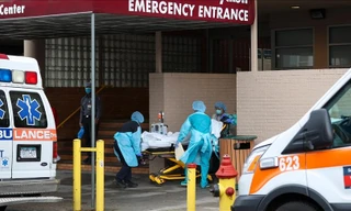 Mỹ: Bùng phát nhiễm khuẩn salmonella từ hành tây 