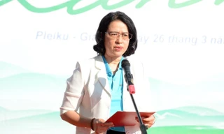 Chung tay vì 'Giấc mơ đại ngàn'