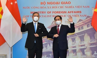 Bộ trưởng Ngoại giao Bùi Thanh Sơn và Bộ trưởng Ngoại giao Singapore Vivian Balakrishnan. (Ảnh: Mofa)