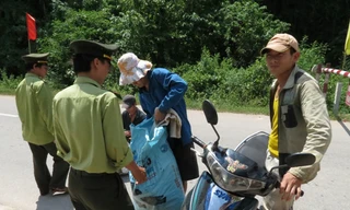 Nhiều kiểm lâm của hạt Phong Nha - Kẻ Bàng đang bị nghi vấn liên quan vụ gỗ sưa ngàn tỷ