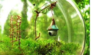 Sự sống trong lọ thủy tinh