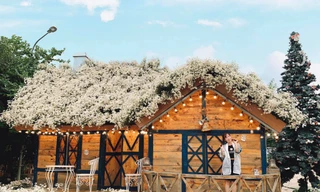 Một mùa cúc hoạ mi xinh xắn lại đến: “Lên đồ” cùng hội BFF để có những tấm ảnh “nghìn like” nào!