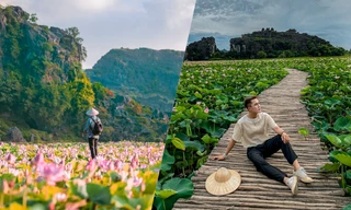 Ninh Bình sau dịch COVID-19: Đầm sen Hang Múa là điểm nhấn thu hút khách du lịch
