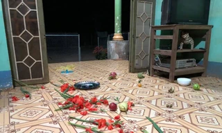 Tâm sự buồn của cô gái vào sáng mùng 1: “Bố mẹ đánh nhau, năm nay nhà mình mất Tết...”