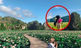 Ngỡ ngàng hồ sen nở rộ giữa Thu ở Hang Múa (Ninh Bình), giới trẻ tha hồ chụp ảnh “sống ảo“