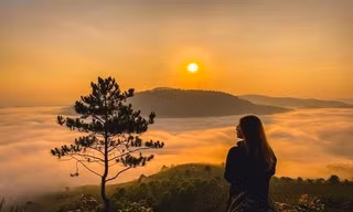 View “săn mây” đẹp ảo diệu ở Đà Lạt thông báo đóng cửa vì ý thức kém của du khách