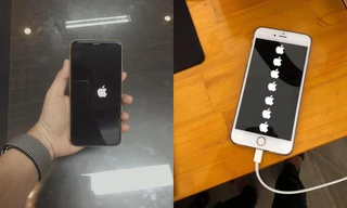 Sau khi nâng cấp iPhone của mình lên iOS 14, chàng trai này nhận được hẳn... 7 trái táo