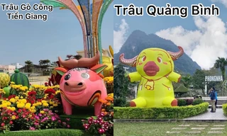 Cười thả ga trước loạt ảnh linh vật Tết Tân Sửu: Mũm mĩm, sang chảnh, cháy nắng... muốn gì cũng có!