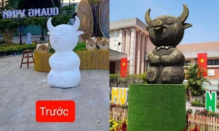 Linh vật trâu vàng năm 2021 phiên bản trước và sau khi “tân trang” khiến người xem cười lăn lộn