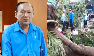 Vụ cây đổ trong trường khiến học sinh tử vong: Hiệu trưởng THCS Bạch Đằng nhận trách nhiệm