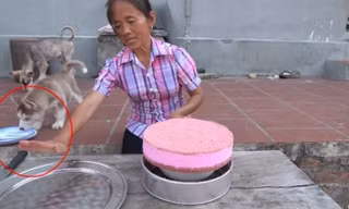 Bà Tân Vlog “đổi gió” với món ăn sang xịn nhưng dân mạng lại “soi” ra điểm bất thường này