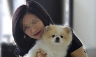 Chú chó đầu tiên dương tính với Covid-19 đã chết sau khi hoàn thành cách ly