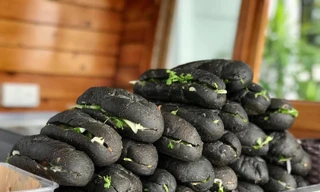 Giới trẻ thích thú “check-in” món bánh mì đen như than gây tò mò ở Quảng Ninh