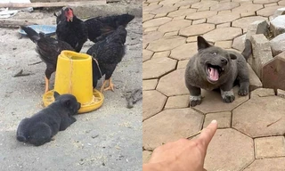 Tìm ra “anh em thất lạc” của idol Nguyễn Văn Dúi, thần thái không thua anh trai!