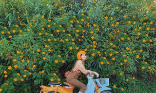 Tháng 11 “check-in” ở Đà Lạt: Bật mí những địa điểm tràn ngập dã quỳ, chẳng sợ chen chúc