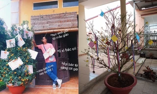 Trào lưu “hot” của teen Việt trong những ngày Tết: Khoe cây cảnh treo đầy bằng khen, huy chương