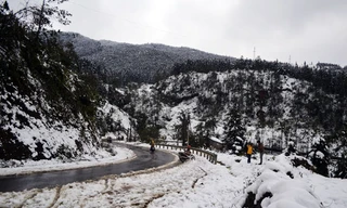 Miền Bắc đón đợt không khí lạnh mới, nhiều tỉnh vùng núi dự báo có mưa tuyết