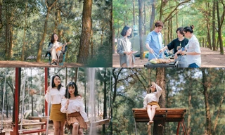 Ghé thăm rừng thông lớn nhất Hà Nội, cực hợp “đi đu đưa” với hội cạ cứng mùa Hè này