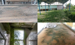 Ngày đầu trở lại trường: Toát mồ hôi khi thấy bàn ghế phủ đầy bụi, nhà để xe “xanh cỏ“