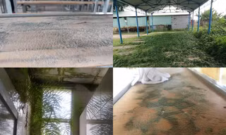 Ngày đầu trở lại trường: Toát mồ hôi khi thấy bàn ghế phủ đầy bụi, nhà để xe “xanh cỏ“