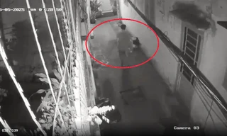 Người con trai quấn thi thể mẹ, bỏ ra đường: 'Tôi ám ảnh hằng đêm'