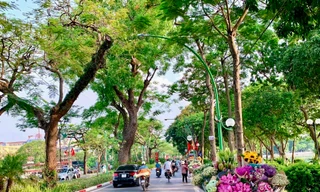 Xe hàng hoa đẹp ngỡ ngàng giữa phố phường Hà Nội