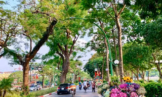 Xe hàng hoa đẹp ngỡ ngàng giữa phố phường Hà Nội
