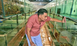 Đây là nghề hot sau sáp nhập tỉnh Bà Rịa-Vũng Tàu, Bình Dương với TPHCM