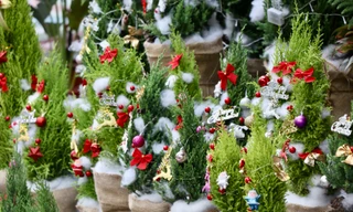 Sơn tùng, thông tươi mini 'lên ngôi' dịp Giáng sinh 