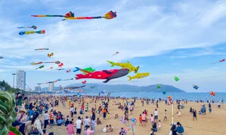 Bình Định tổ chức lễ hội du lịch đón mùa hè 2025