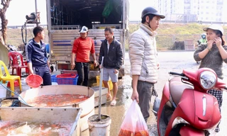 Nhộn nhịp chợ cá vàng tiễn ông Công ông Táo về trời