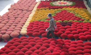 Hà Nội: Làng hương Quảng Phú Cầu tất bật những ngày cuối năm