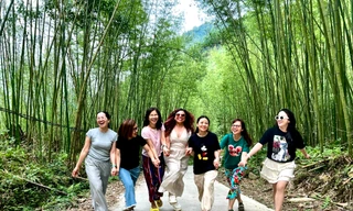 Khám phá rừng trúc Pù Lầu đẹp như trong phim kiếm hiệp ở Bắc Kạn