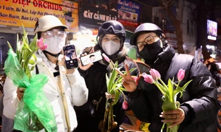 Giới trẻ mê trồng hoa tulip, tiểu thương thu hàng chục triệu mỗi ngày