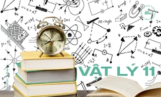 Vật lý 11: Có thể bạn đã từng làm đúng nhưng đáp án SGK và thầy cô lại khăng khăng bạn sai